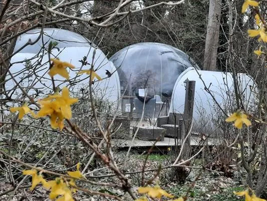 Au Calme Absolu : bulles au printemps