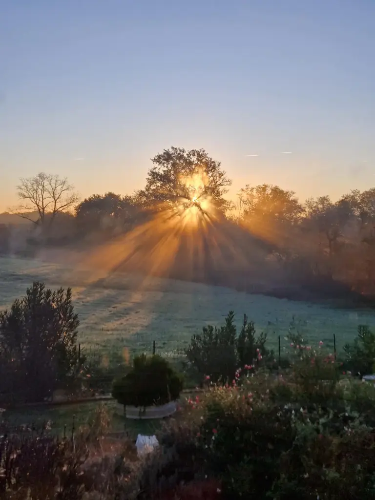 Bali'Bulle : lever du soleil sur la campagne landaise