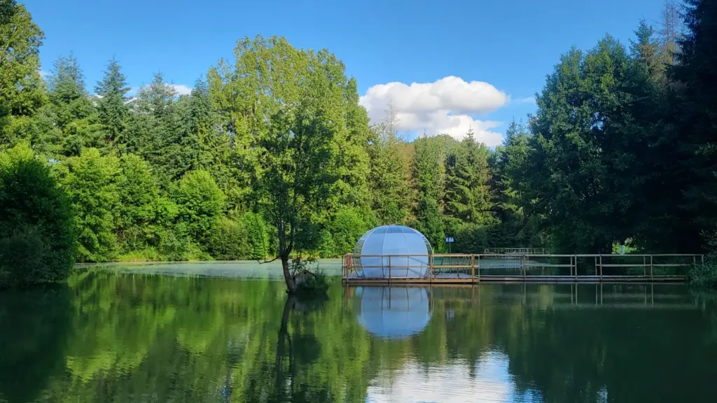 Bulle DO : bulle sur son ponton au bord de l'étang