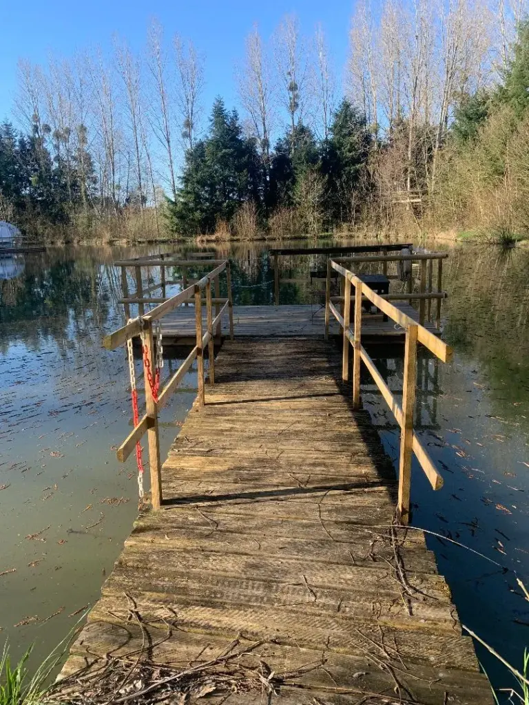 Bulle DO : ponton sur l'étang