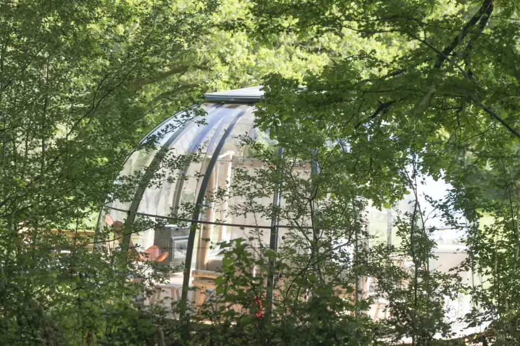 Dihan Évasion : dôme étoilé sous les arbres