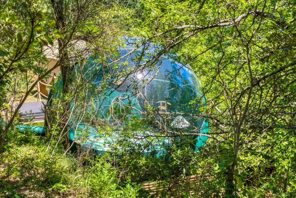 Domaine de l'Insolite : bulle transparente entre les arbres