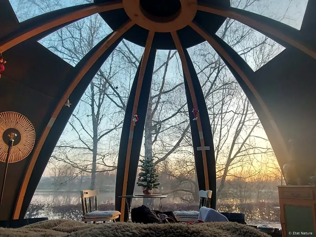 État Nature : vue sur l'étang depuis la bulle au lever du jour