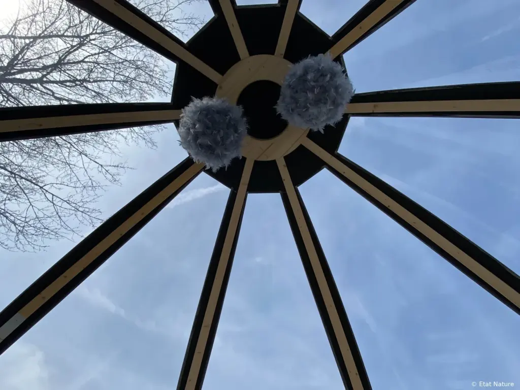 État Nature : toit transparent de la bulle