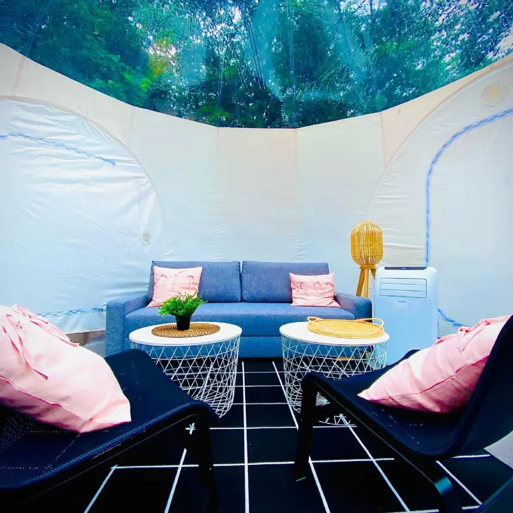 L'Étape en Forêt : salon sous le toit transparent