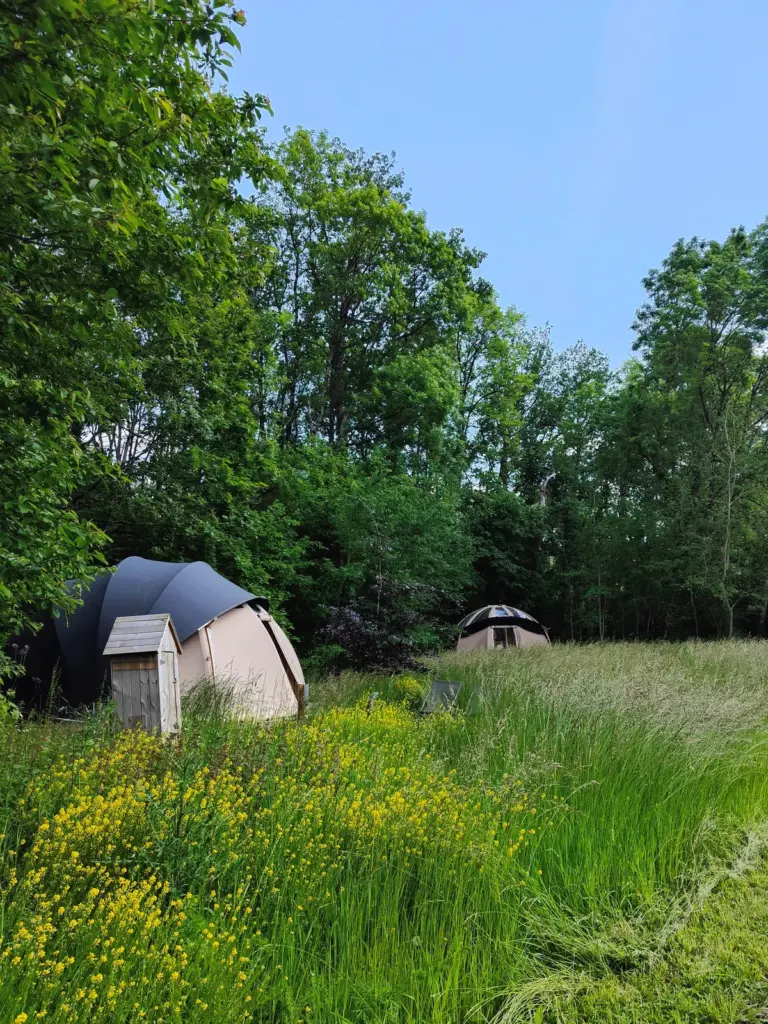 La Ferme de Razay : dômes dans la prairie en lisière de bois