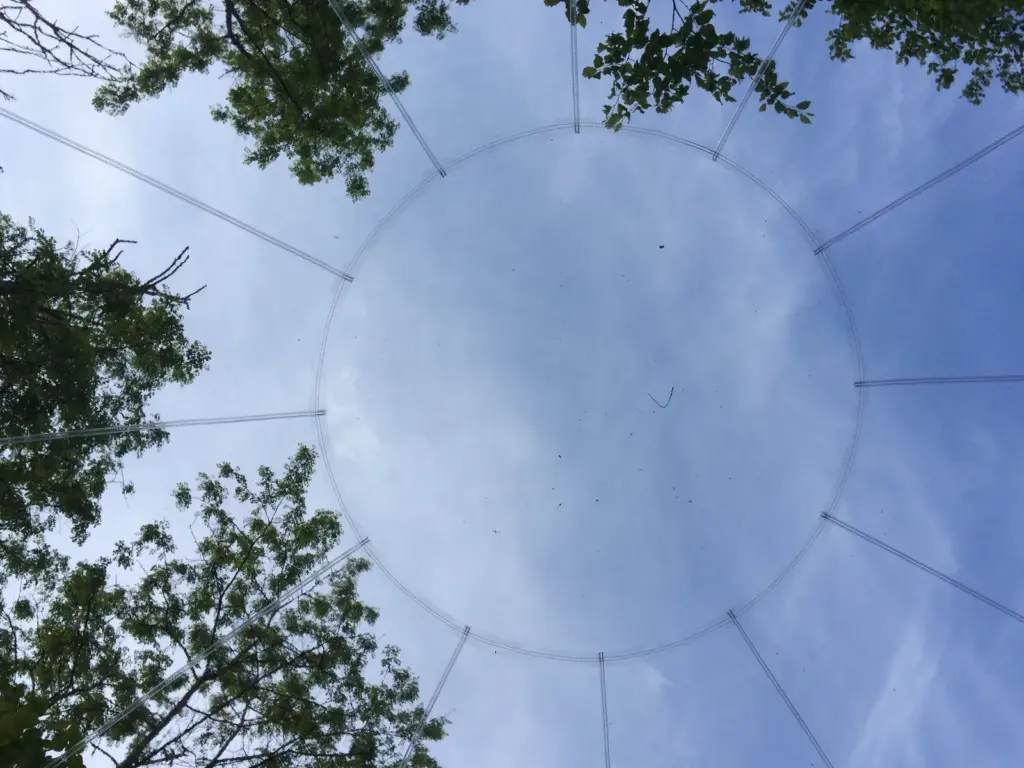La Grange d'Hélène : vue sur le ciel depuis le lit