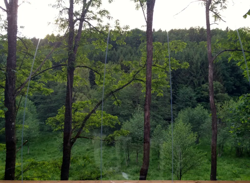 La Grange d'Hélène : vue sur la vallée boisée