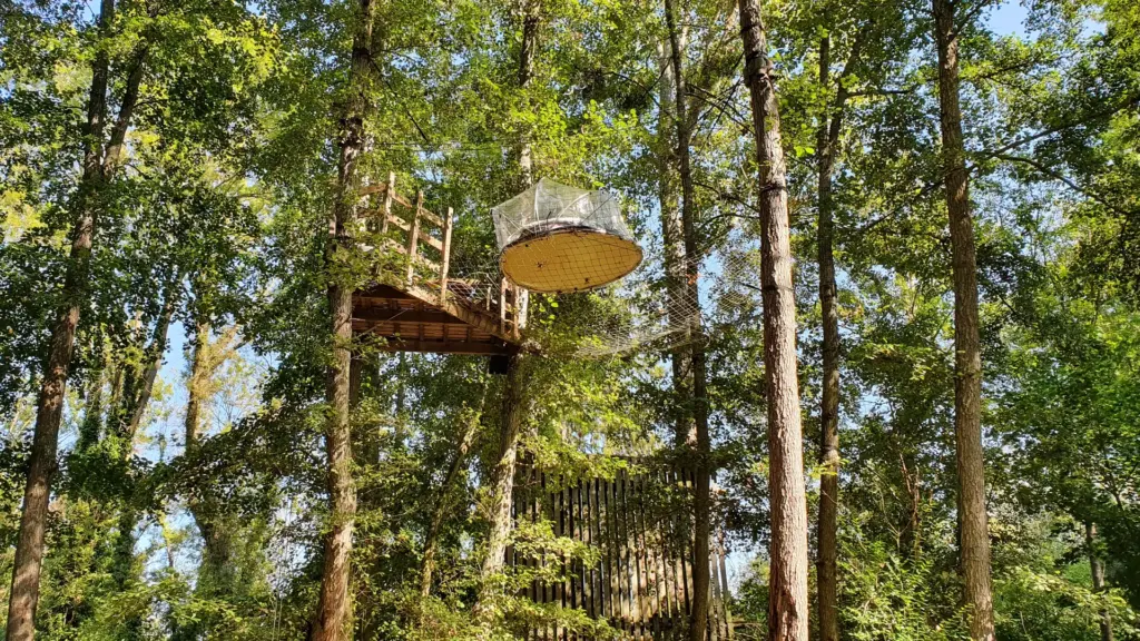 La Maison du Rocher : bulle suspendue dans les arbres de la forêt