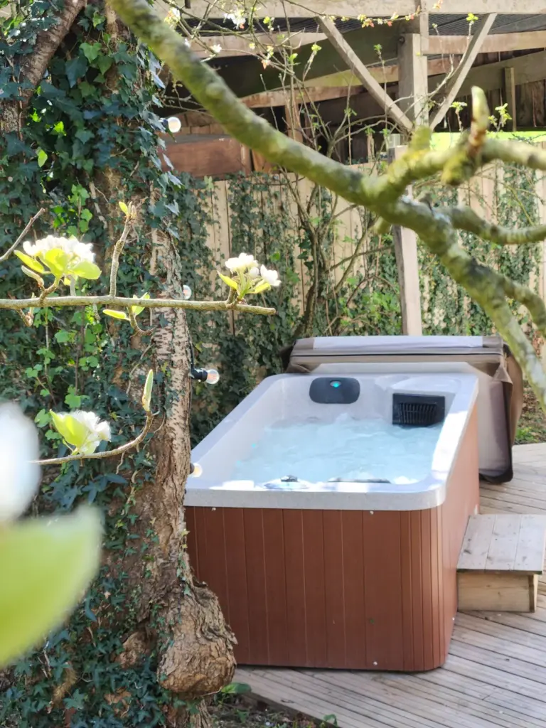 Le Cocon d'Amour : spa privatif