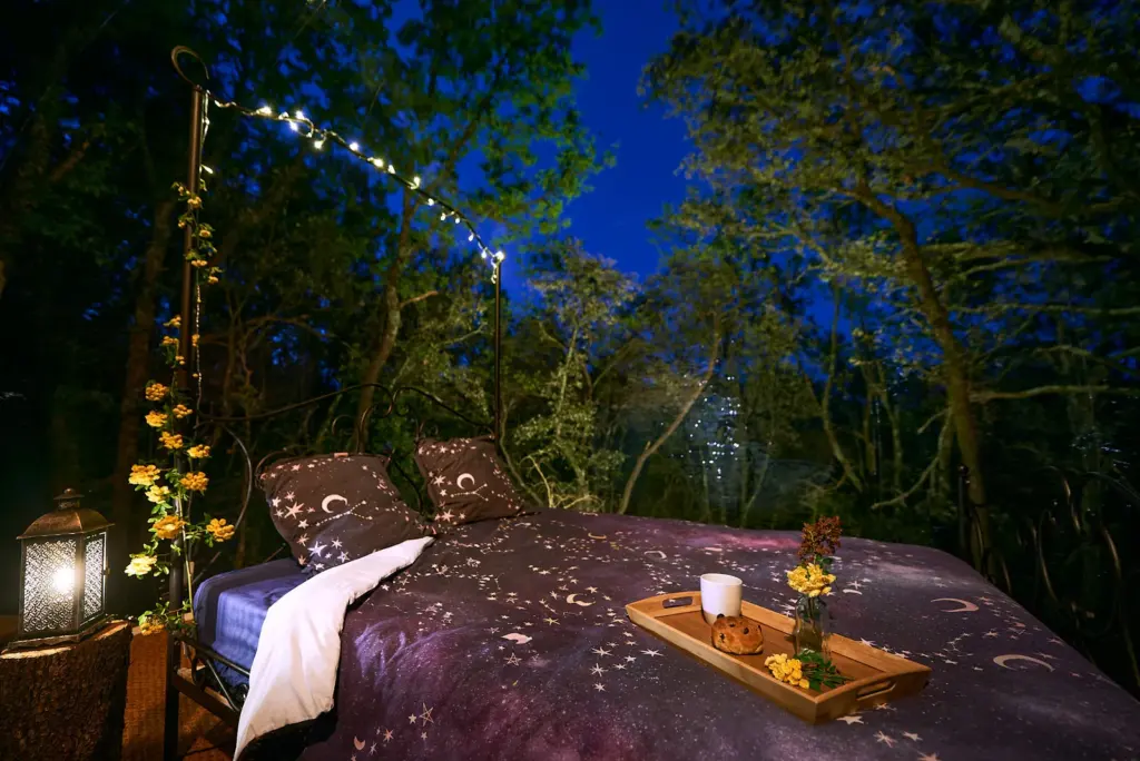 Le Mas du Bois Barbeau : nuit étoilée sur la terrasse