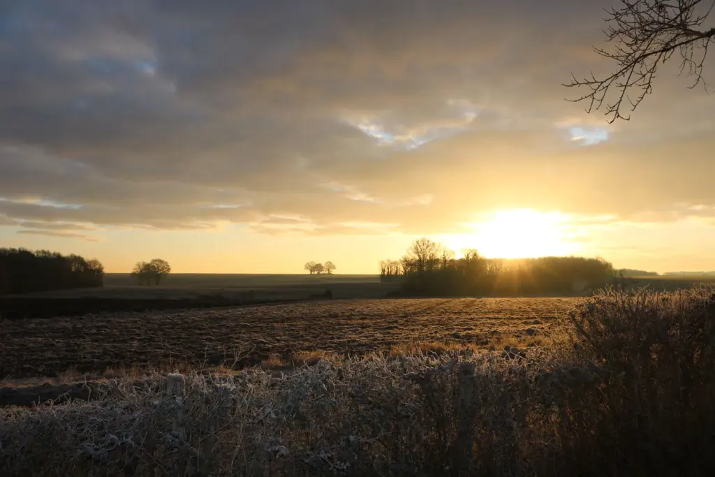 Le Nid du Tui : coucher de soleil sur la campagne berrichonne