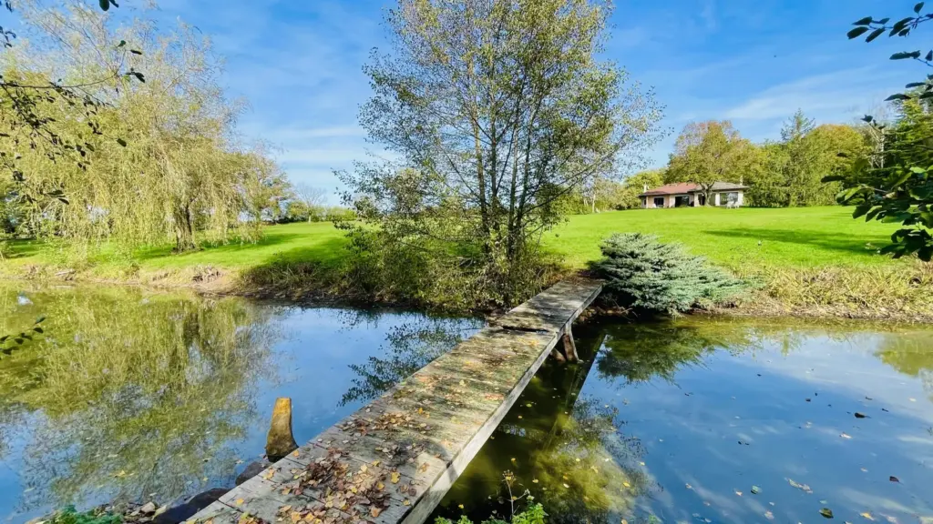 Le Pré de Santranges : étang et ponton du domaine