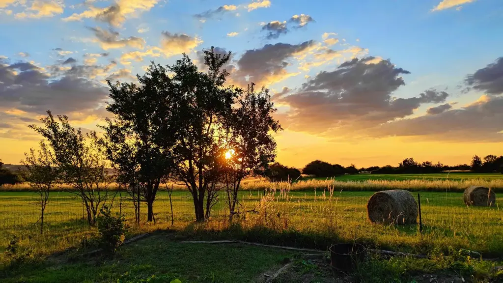 Les 2 Granges : coucher de soleil sur la campagne mosellane