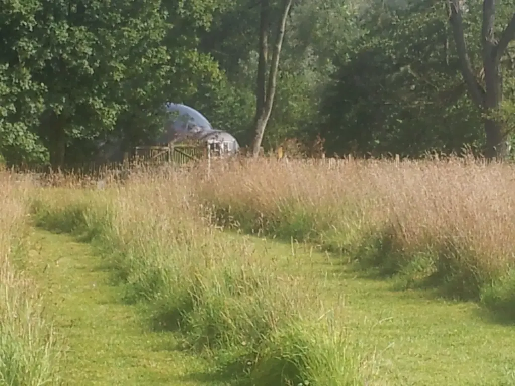 Les Aires en Scènes : chemin dans les hautes herbes jusqu'à la bulle