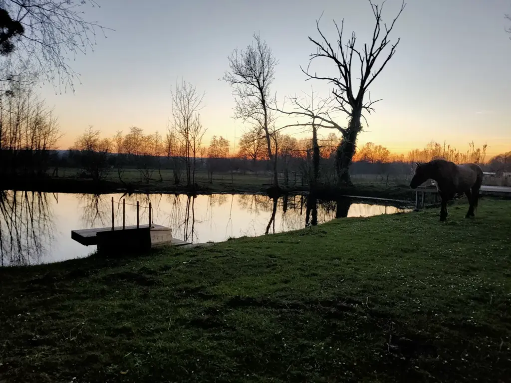 Les Aires en Scènes : coucher de soleil sur l'étang