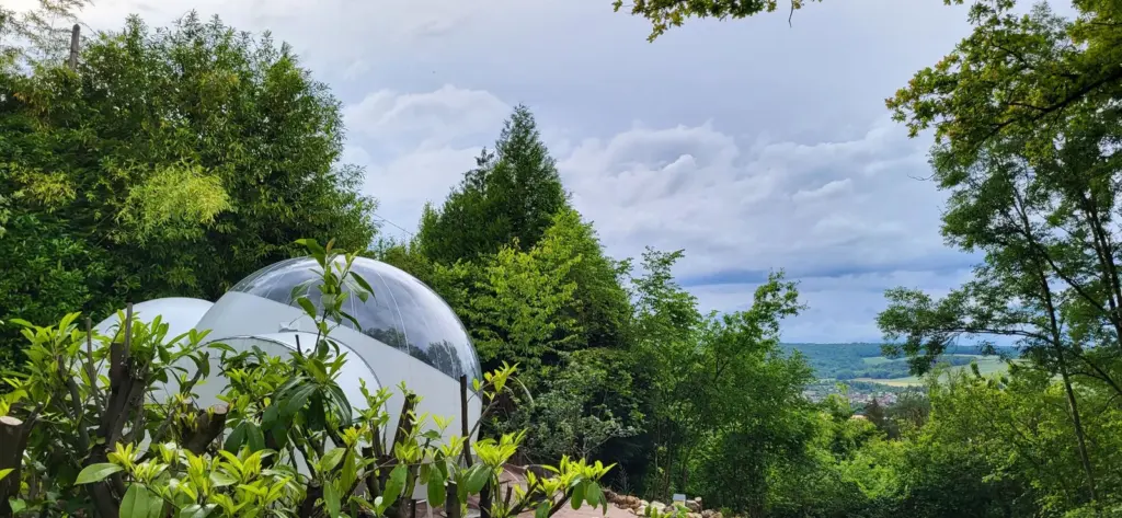 Les Bulles du Coq de Champagne : bulle au milieu de la végétation