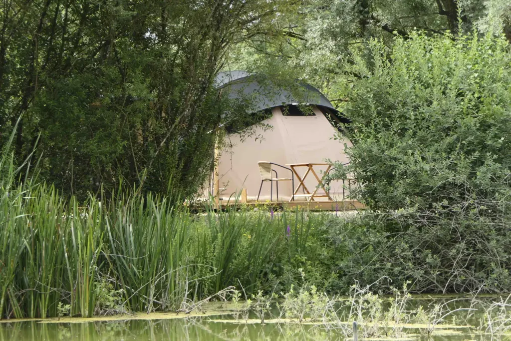 Les Cabanes Flottantes : bulle dans les roseaux au bord de l'étang