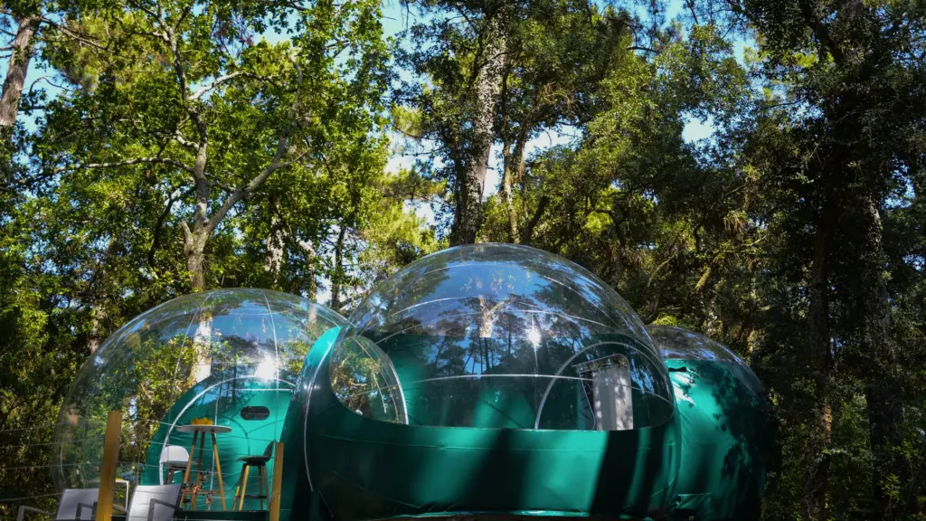 Lo Rey du Lac : bulle verte posée en pleine forêt de pins