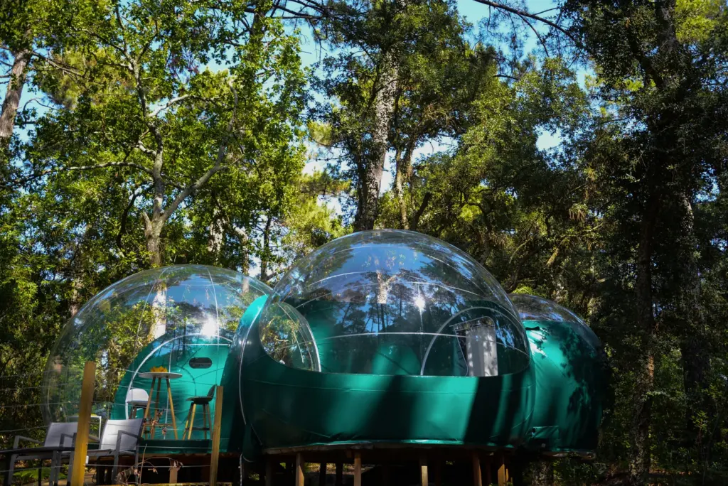 Lo Rey du Lac : bulles au milieu de la forêt près du lac d'Hossegor