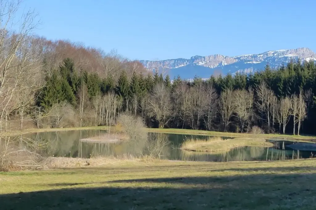 Monchâteau Étoilé : étang et montagnes autour du domaine
