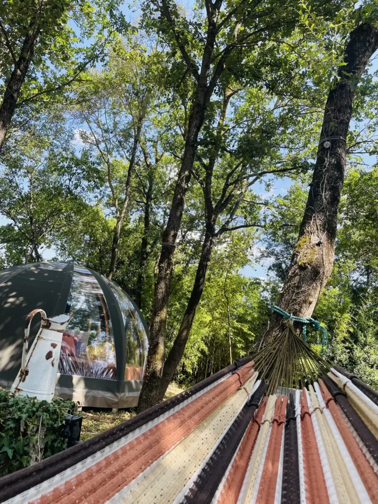 Ô Cocon du Lauragais : hamac entre les arbres