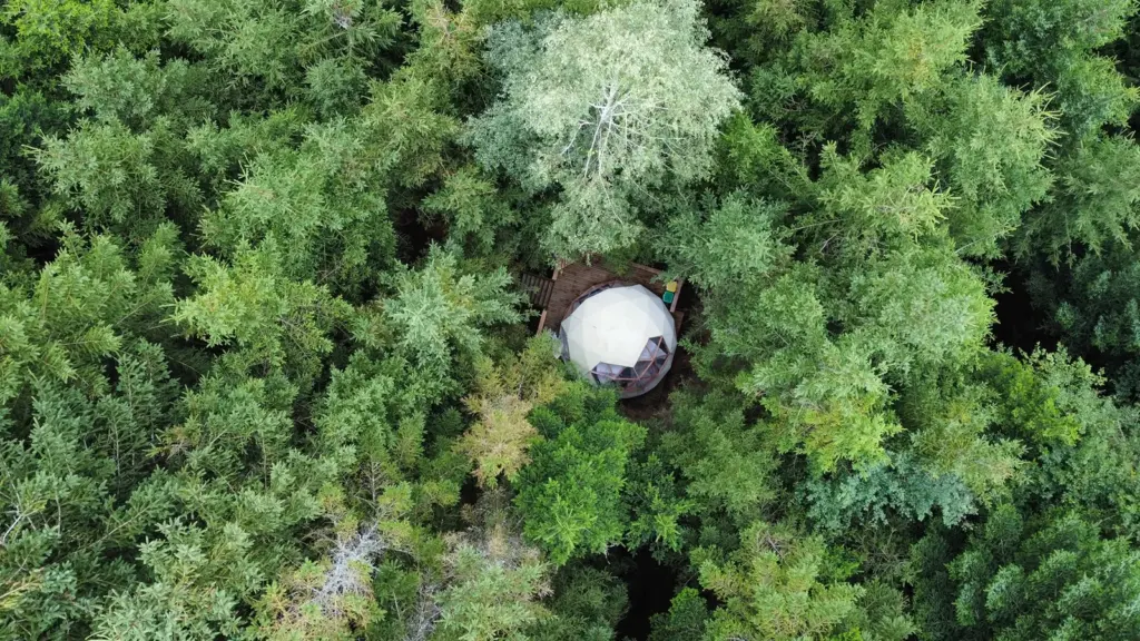 Saveurs Vosgiennes : le dôme au milieu de la forêt vu du ciel