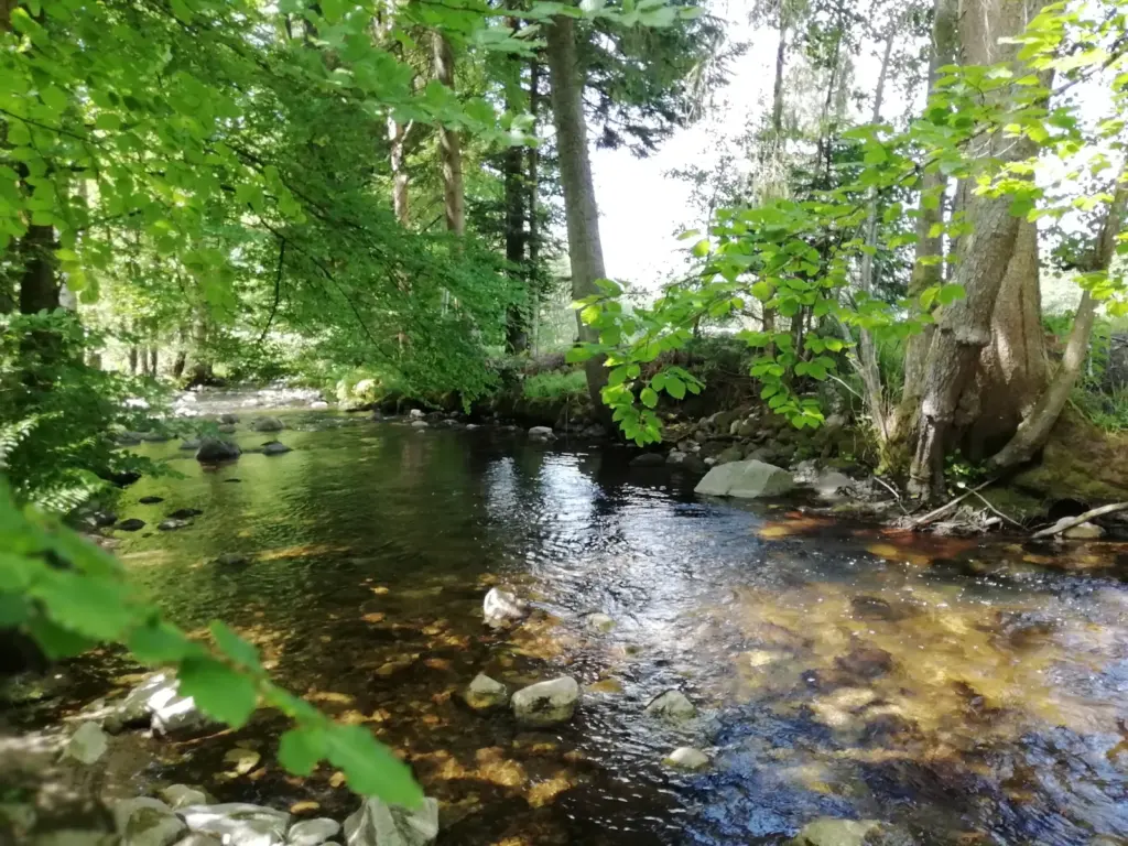 Saveurs Vosgiennes : la rivière au fond du domaine
